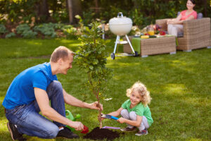 How to Add Shade to Your Home to Save on Energy Bills